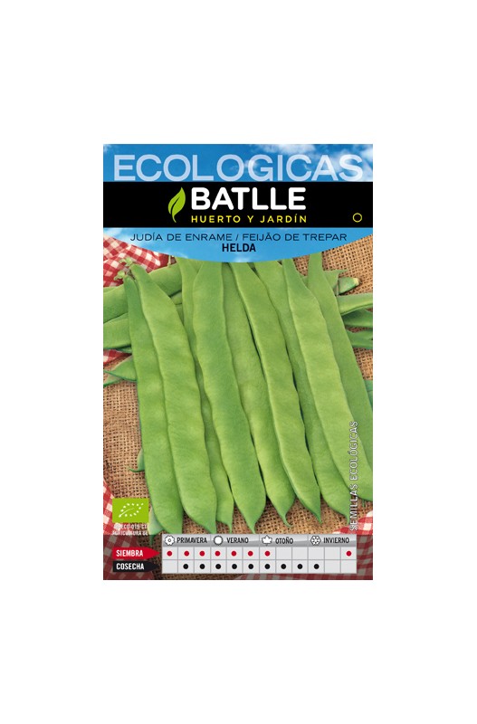 JUDIA HELDA ECOLOGICA SOBRE
