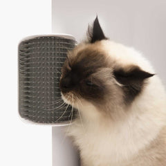 Collection image for: Peines y cuidado del pelo de tu gato