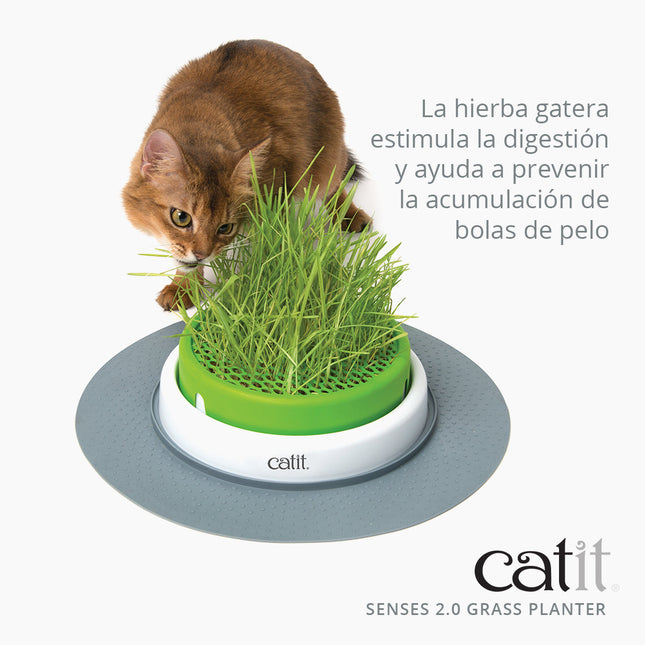 Catit Senses 2.0 Germinador Con Hierba Gatera