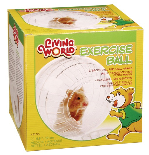 Living World Bola Ejercicio con Base - S