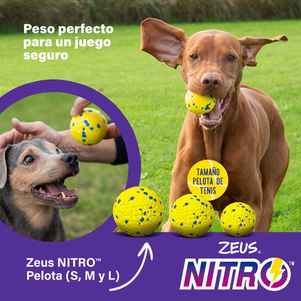 Zeus NitroÙ Bola Lastrada, S, Ø5cm