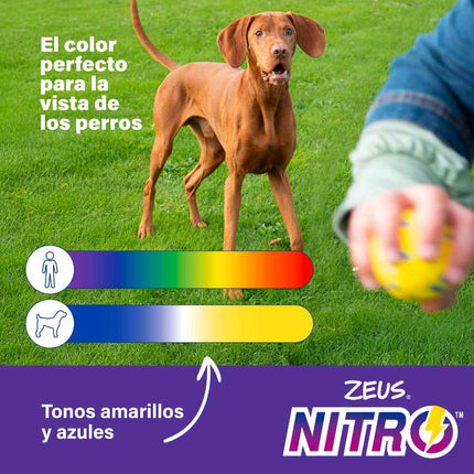 Zeus NitroÙ Bola Lastrada, M, Ø6,3cm