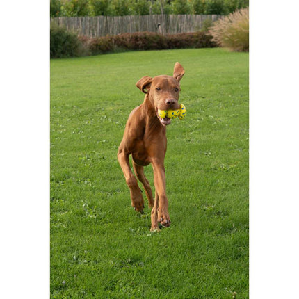 Zeus NitroÙ Bola Grip Lastrada , 12,4cm