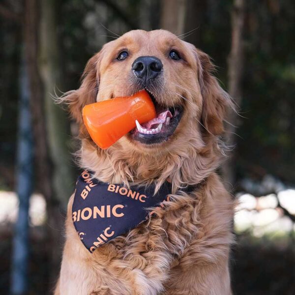 BIONIC Treat Shaker - Large