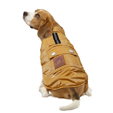 Abrigo metalizado mostaza de ALPHA DOG L