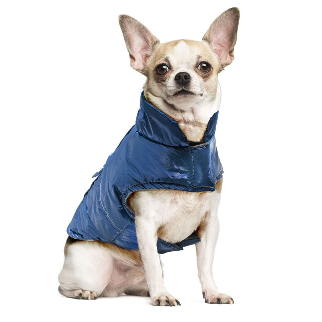 Abrigo metalizado azul de ALPHA DOG L