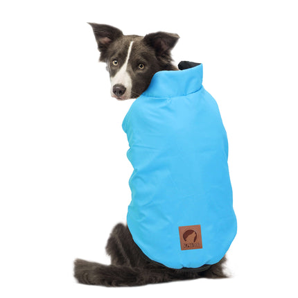 Anorak reversible turquesa / negro de ALPHA DOG XL