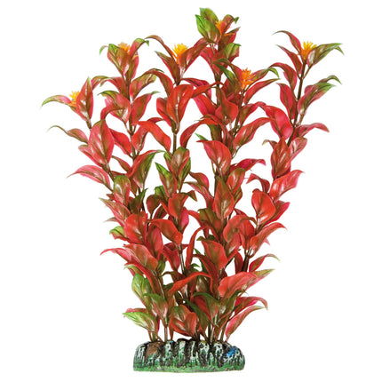 Alternanthera de AQUATIC PLANTS PLÁSTICO 22 cm.