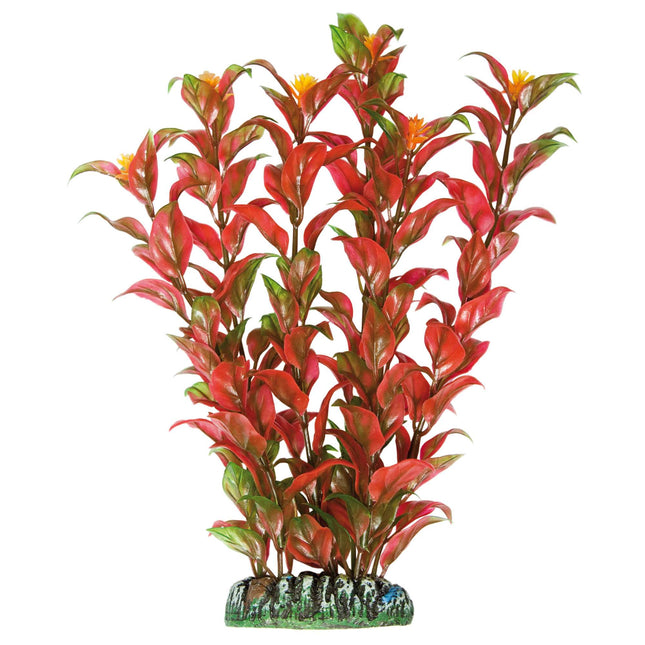 Alternanthera de AQUATIC PLANTS PLÁSTICO 22 cm.
