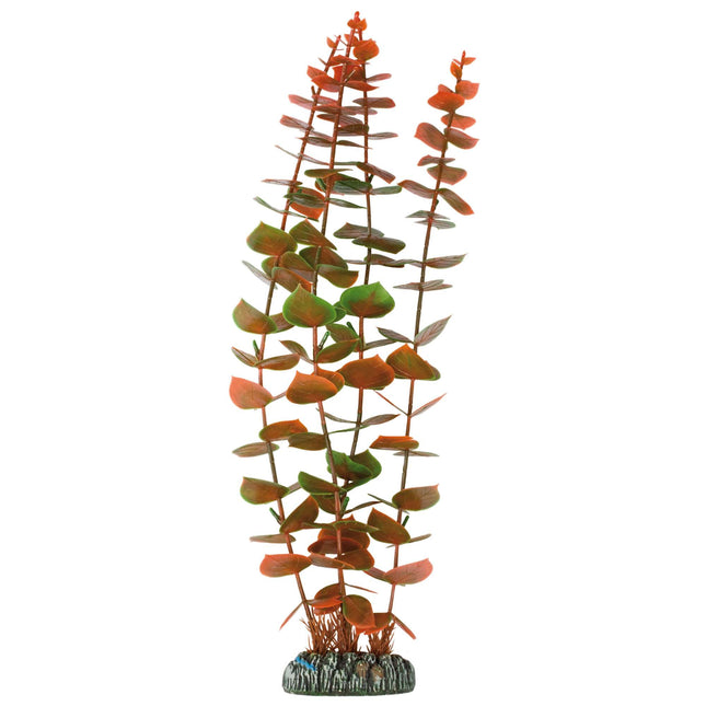 Alternanthera de AQUATIC PLANTS PLÁSTICO 39 cm.