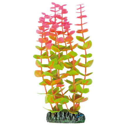 Alternanthera de AQUATIC PLANTS PLÁSTICO 19.50 cm.