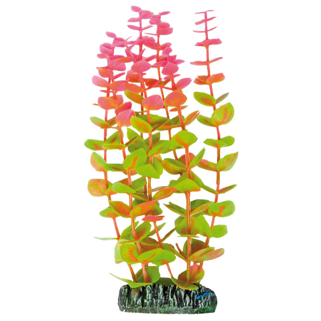 Alternanthera de AQUATIC PLANTS PLÁSTICO 19.50 cm.