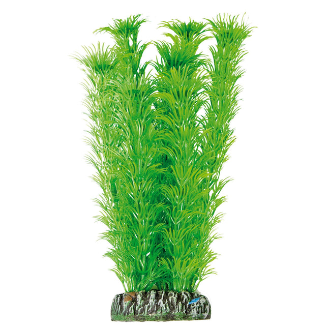 Ambulia de AQUATIC PLANTS PLÁSTICO 21 cm.