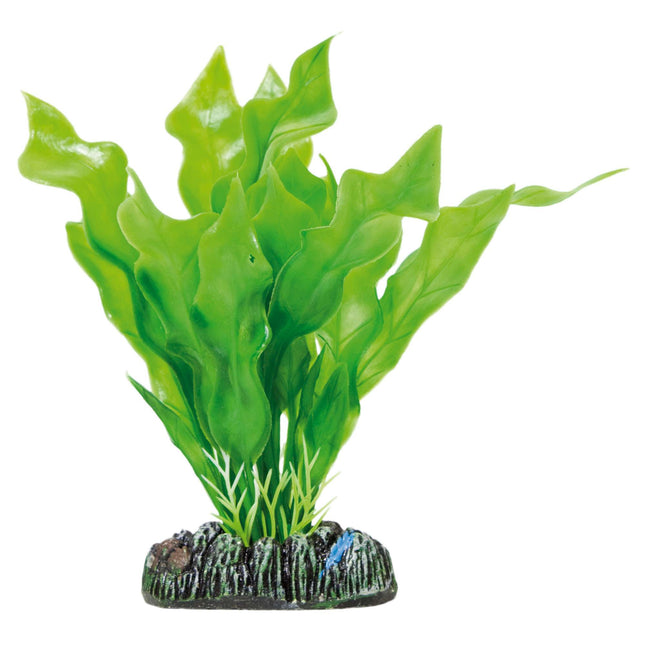 Aponogeton crispus de AQUATIC PLANTS PLÁSTICO 13.50 cm.