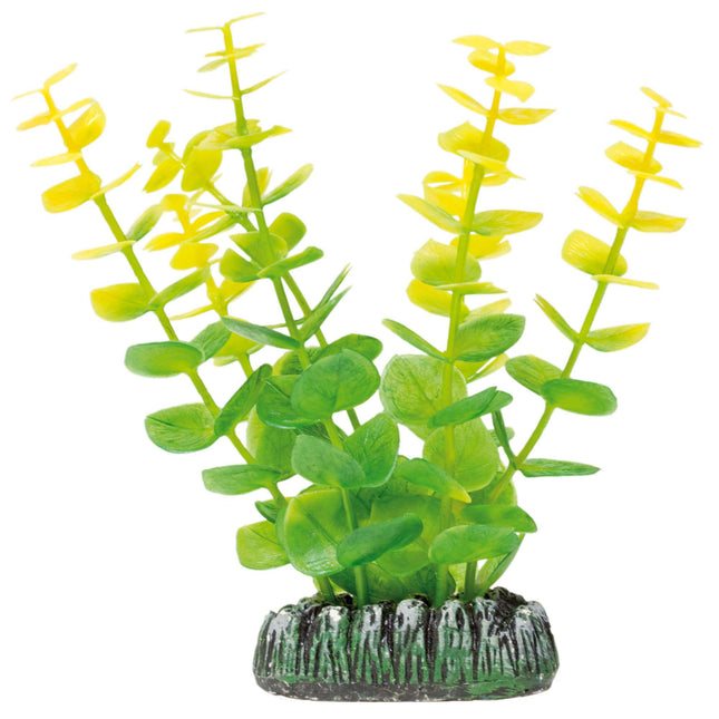 Bacopa de AQUATIC PLANTS PLÁSTICO 13 cm.