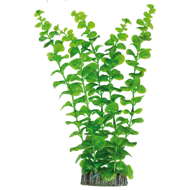 Bacopa australis de AQUATIC PLANTS PLÁSTICO 28 cm.