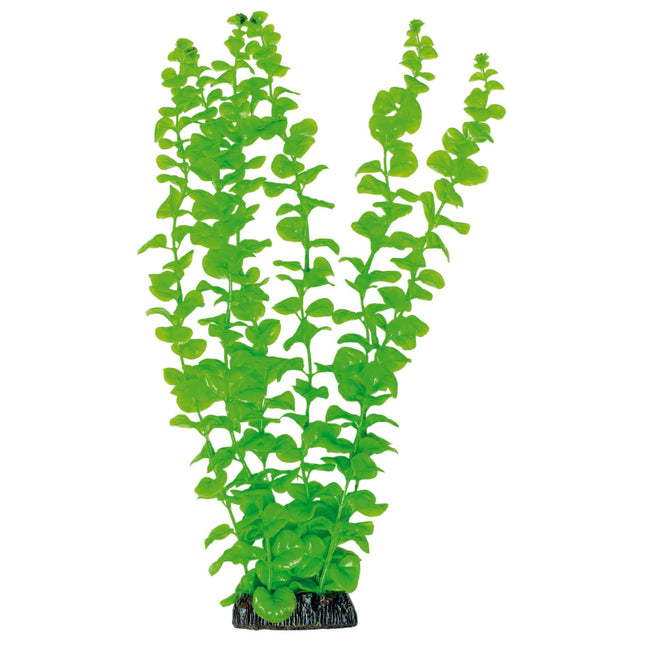 Bacopa de AQUATIC PLANTS PLÁSTICO 38 cm.