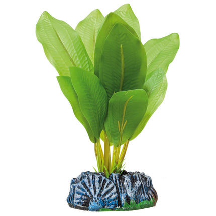 Echinodorus de AQUATIC PLANTS PLÁSTICO 14 cm.