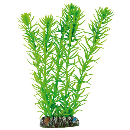 Egeria de AQUATIC PLANTS PLÁSTICO 20 cm.
