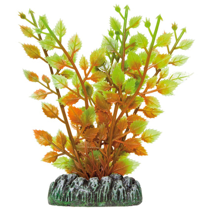 Hygrophila de AQUATIC PLANTS PLÁSTICO 13 cm.