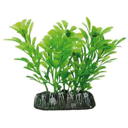Samolus de AQUATIC PLANTS PLÁSTICO 8.50 cm.