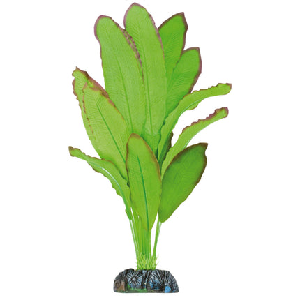 Planta de seda Echinodorus spidemet 39 cm.