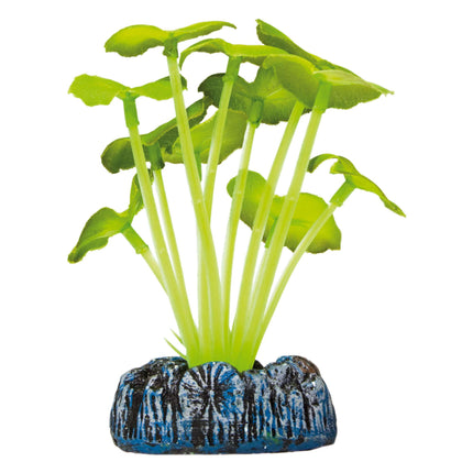 Hydrocotyle de AQUATIC PLANTS SEDA 9.50 cm.