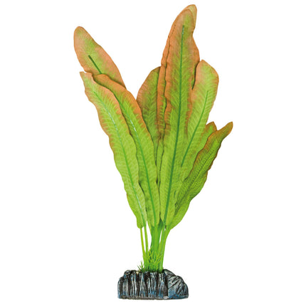 Microsorium de AQUATIC PLANTS SEDA 31 cm.