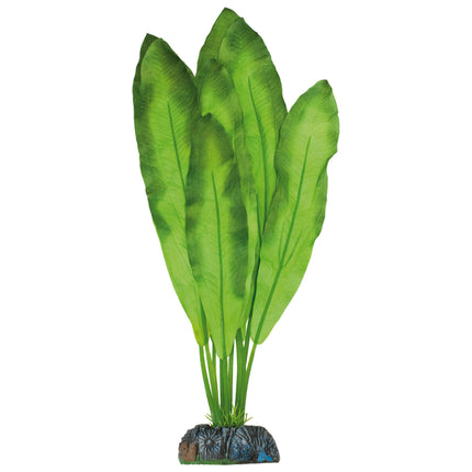 Polygonum de AQUATIC PLANTS SEDA 40 cm.