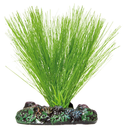 Miriophyllium de AQUATIC PLANTS SEDA 20 cm.