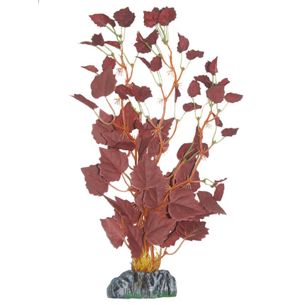 Hygrofila de AQUATIC PLANTS SEDA 14 cm.