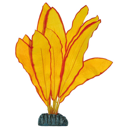 Echinodorus de AQUATIC PLANTS SEDA 30 cm.