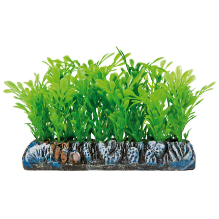 Salvacrías Samolus AQUATIC PLANTS PLÁSTICO 7 cm.