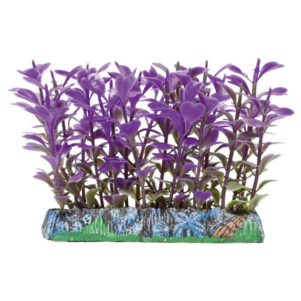 Salvacrías Trichocoronis AQUATIC PLANTS PLÁSTICO 7.50 cm.