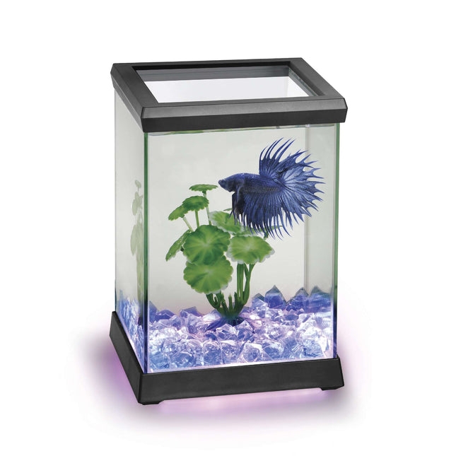 Betta Space LED 4.95L