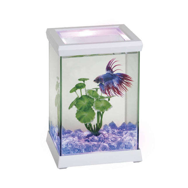 Betta Space LED 4.95L