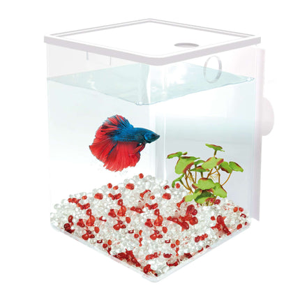 BETAWORLD Cube iniciación 1.50L