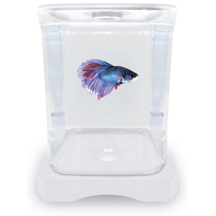 Betera blanca ICA 1.50L