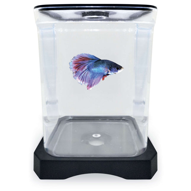 Betera negra ICA 1.50L