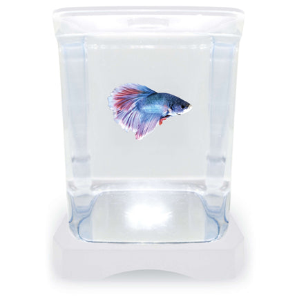Betera blanca con luz ICA 1.50L