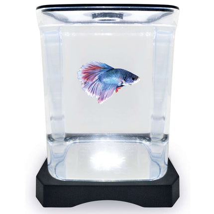 Betera negra con luz ICA 1.50L