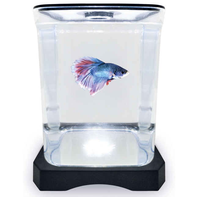 Betera negra con luz ICA 1.50L