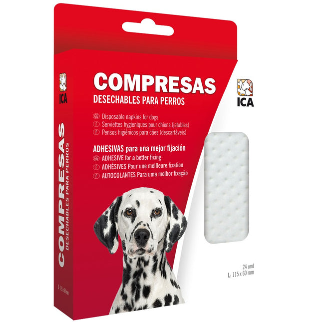 Compresas braguitas 4/5 L