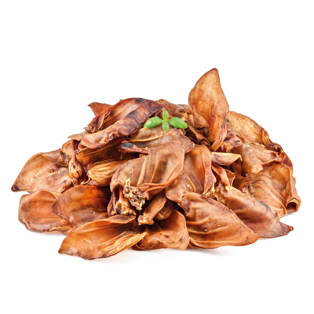 Orejas de cerdo XL NutraDog Yummy - 25 unds.