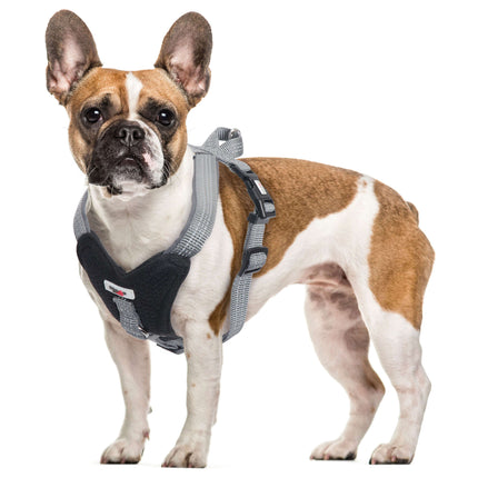 Arnés Extreme XT-DOG negro L