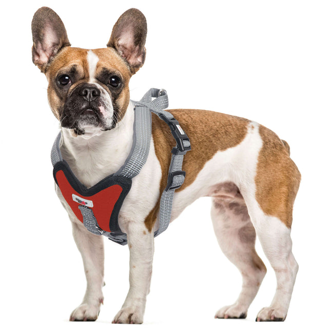 Arnés Extreme XT-DOG rojo S