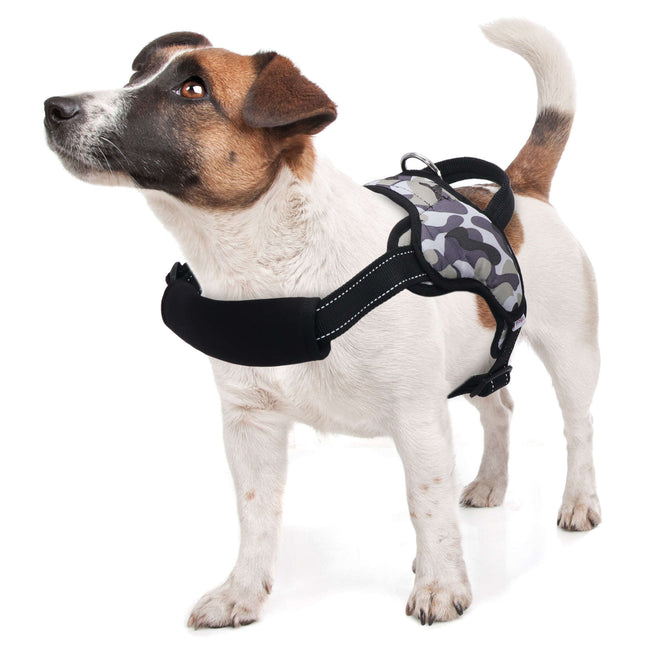 Arnés de seguridad camuflaje XT-DOG M