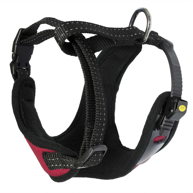 Arnés Sport XT-DOG XS