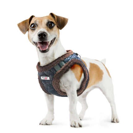 Arnés NORDIC de XT-DOG M