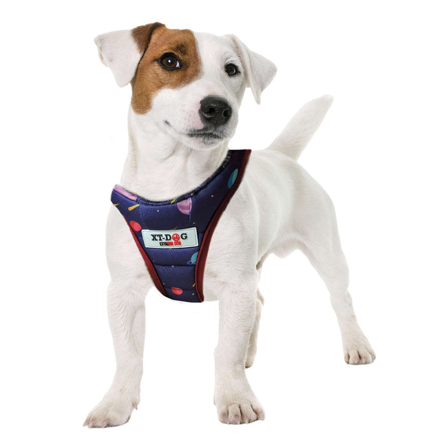 Arnés Planetas de XT-DOG S